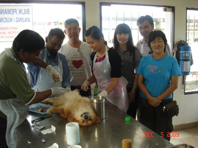 Ahli Majlis melawat ke Bilik Pemandulan Anjing di MPSP, Jalan Betek, Bukit Mertajam pada 5-12-2009